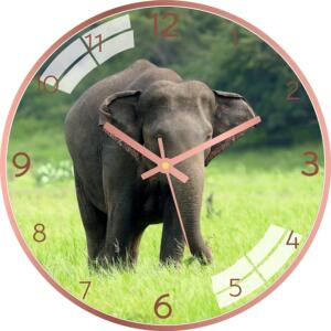 Elephant Wall Clock by Stockyhut